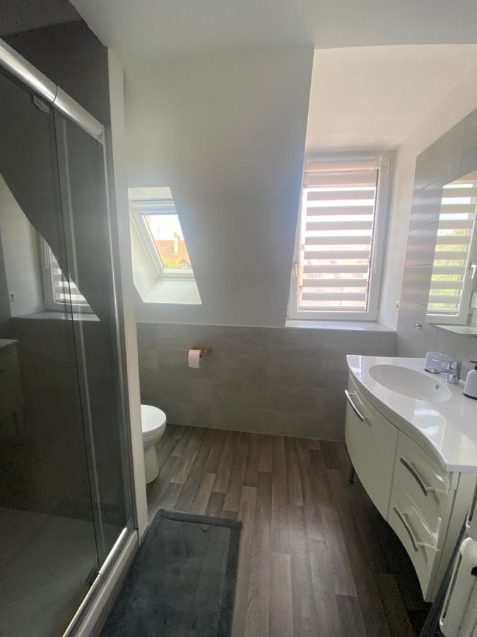 Appartement Cosy A Colmar Eksteriør billede