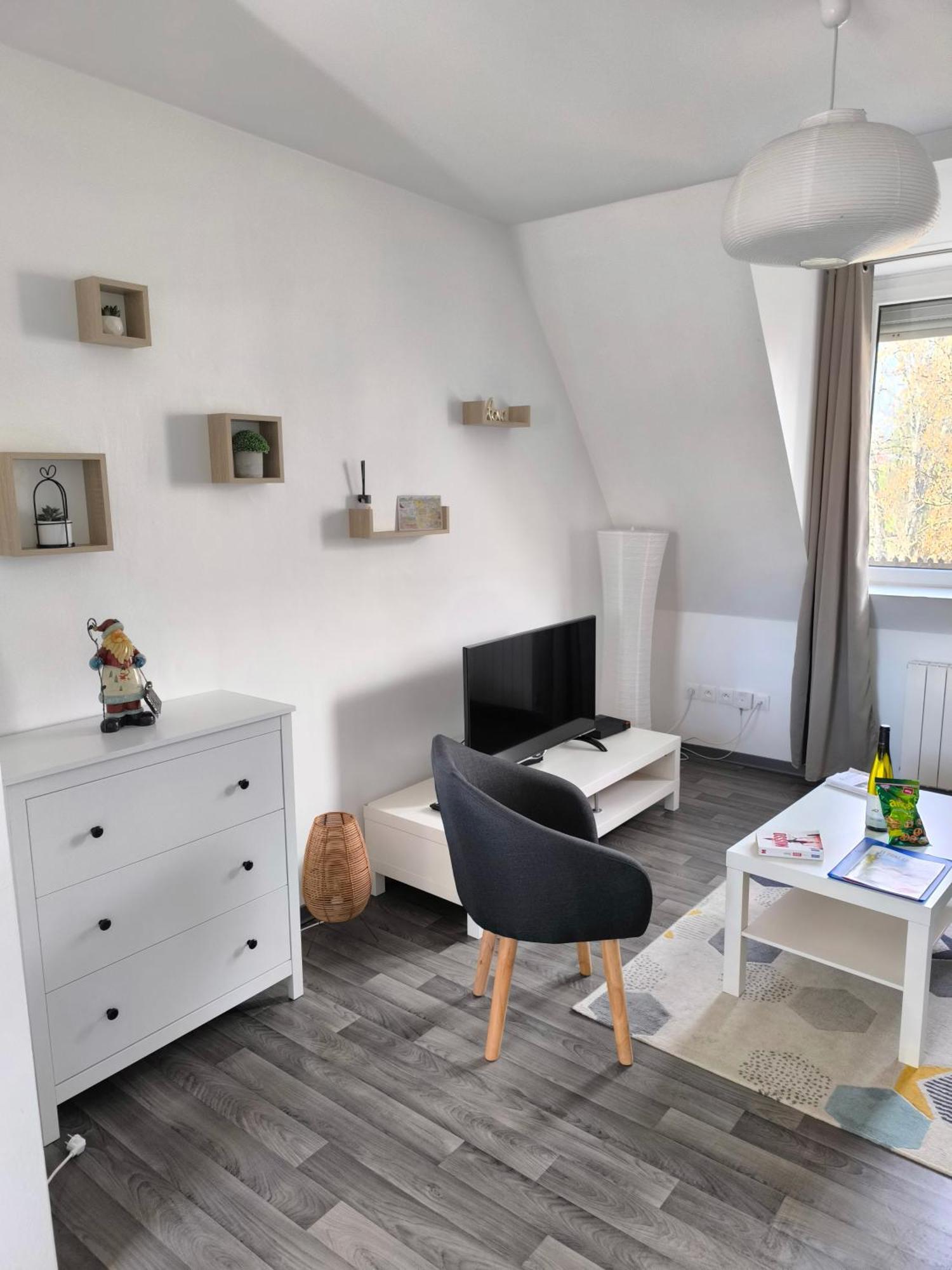Appartement Cosy A Colmar Eksteriør billede